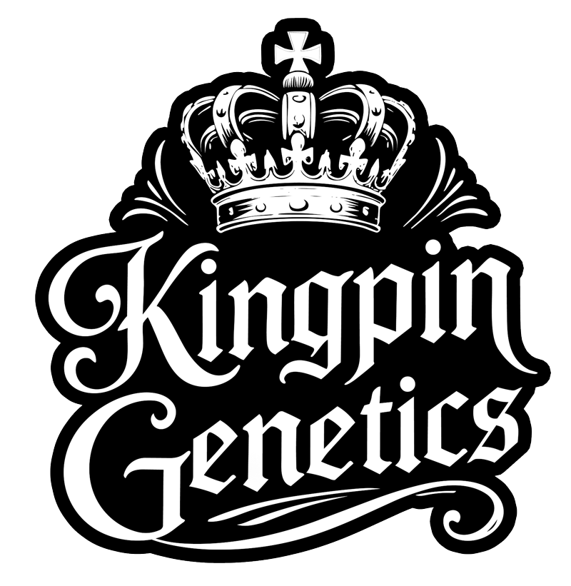 KPG Seeds